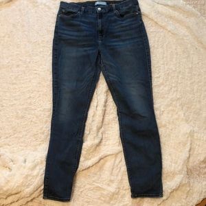 7 For All Mankind Skinny Jean